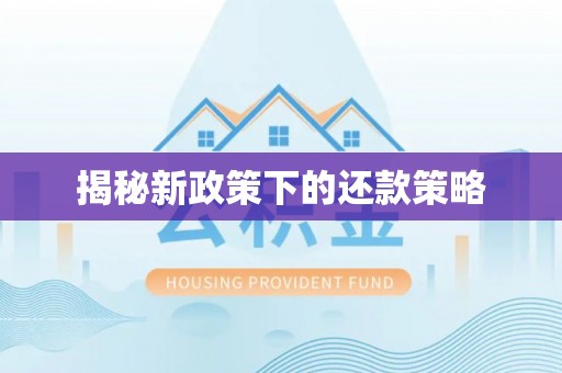 通海揭秘新政策下的还款策略