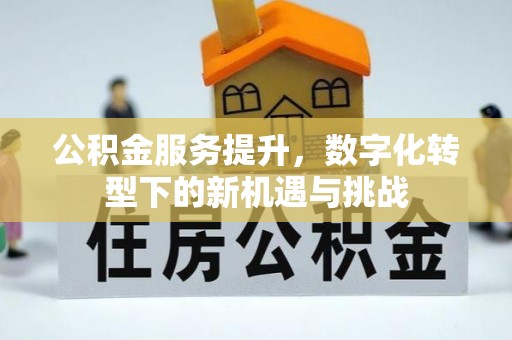 通海公积金服务提升，数字化转型下的新机遇与挑战