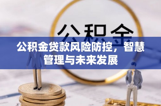 通海公积金贷款风险防控，智慧管理与未来发展