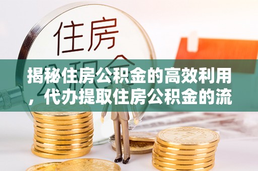 通海揭秘住房公积金的高效利用，代办提取住房公积金的流程与技巧
