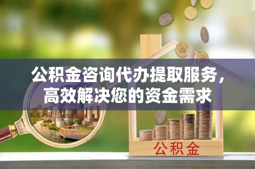 通海公积金咨询代办提取服务，高效解决您的资金需求