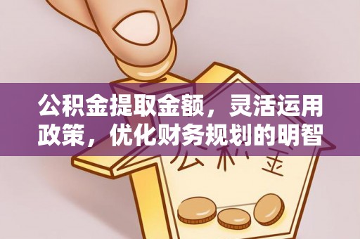 通海公积金提取金额，灵活运用政策，优化财务规划的明智选择