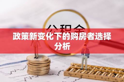 通海政策新变化下的购房者选择分析