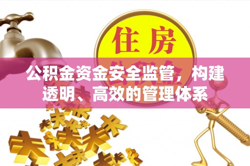 通海公积金资金安全监管，构建透明、高效的管理体系