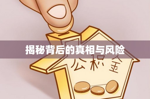 通海揭秘背后的真相与风险