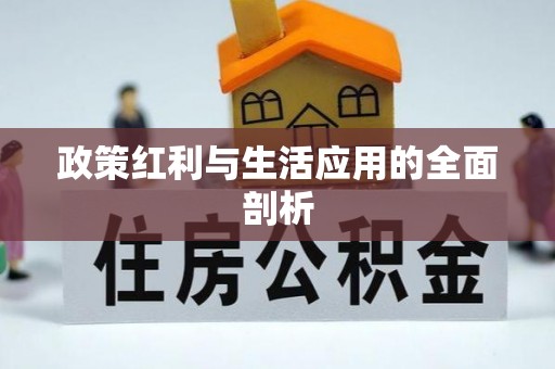 通海政策红利与生活应用的全面剖析