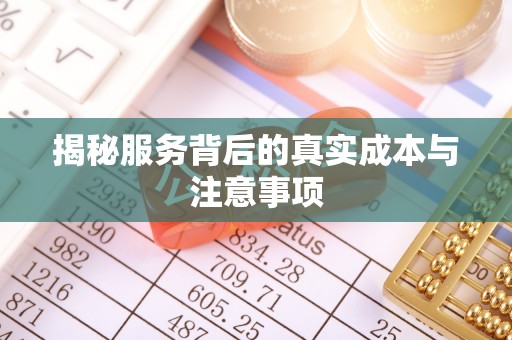 通海揭秘服务背后的真实成本与注意事项