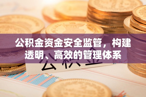 通海公积金资金安全监管，构建透明、高效的管理体系