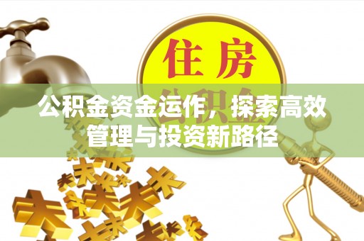 通海公积金资金运作，探索高效管理与投资新路径