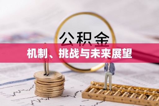 通海机制、挑战与未来展望